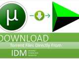 How To Freely Download Torrent Files Using Idm Hired0wnload