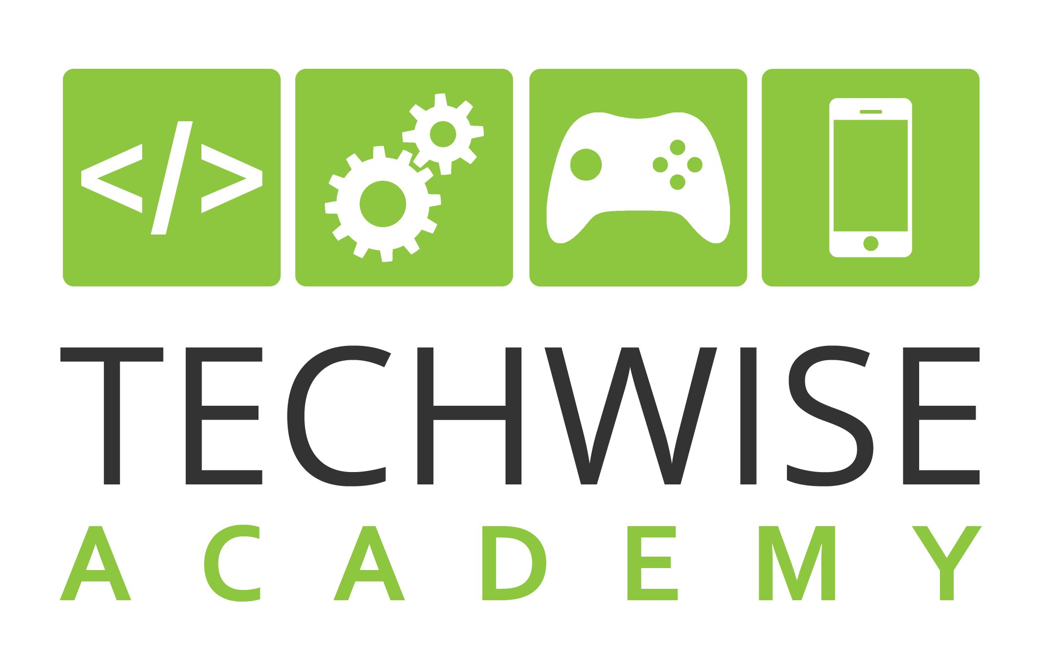 TechWise Academy