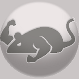 Cat Mouse APK