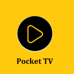 Pocket TV