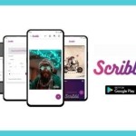Scribbl Mod Apk