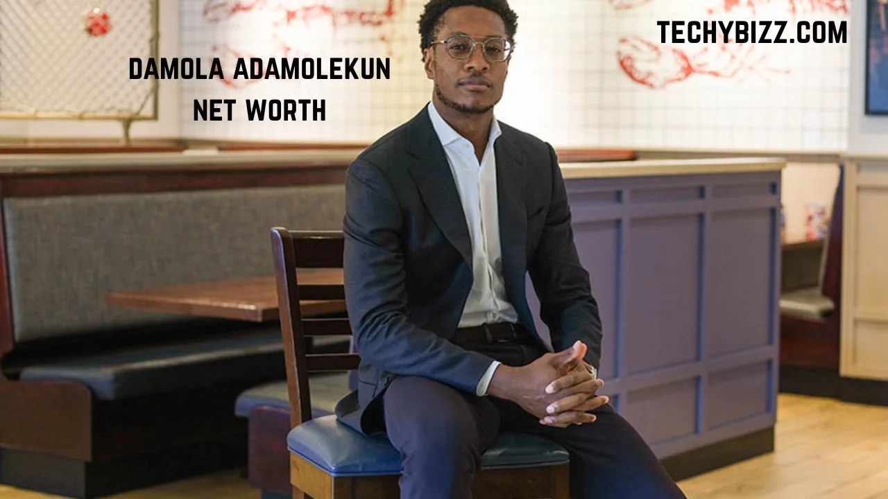damola adamolekun net worth