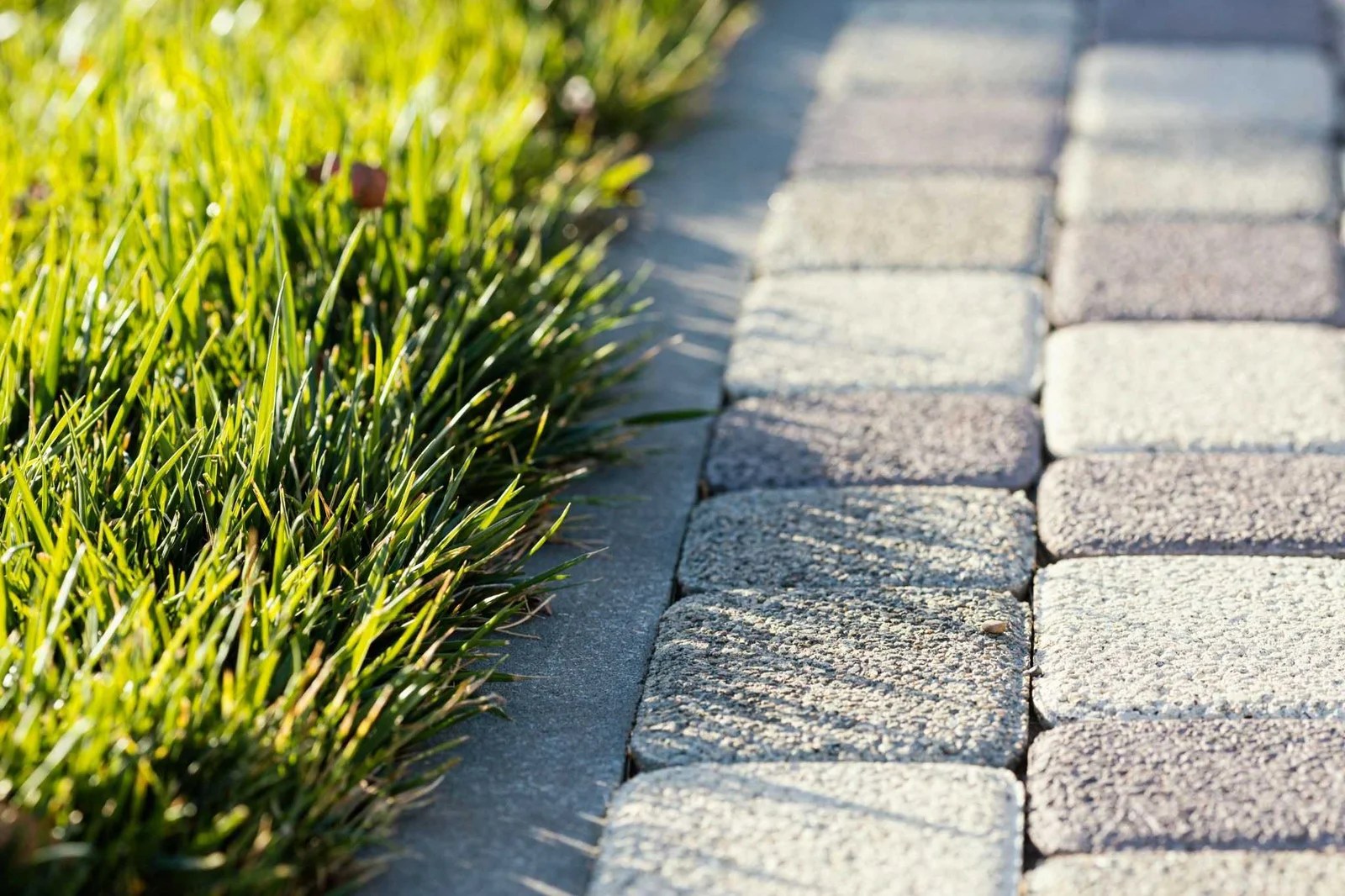 Curb Appeal