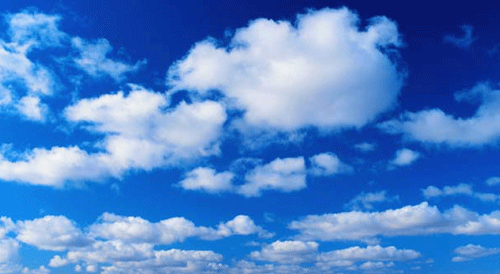 Evaluating Cloud Based Video Conferencing Services