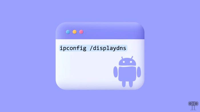 Ipconfig displaydns on android