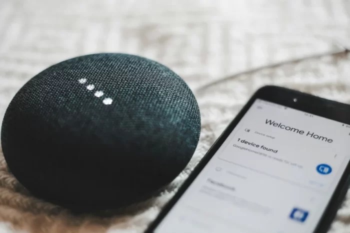 Google Assistant