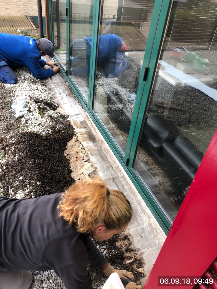 Impressionen aus der TECTON-Foto-Cloud 2018-10