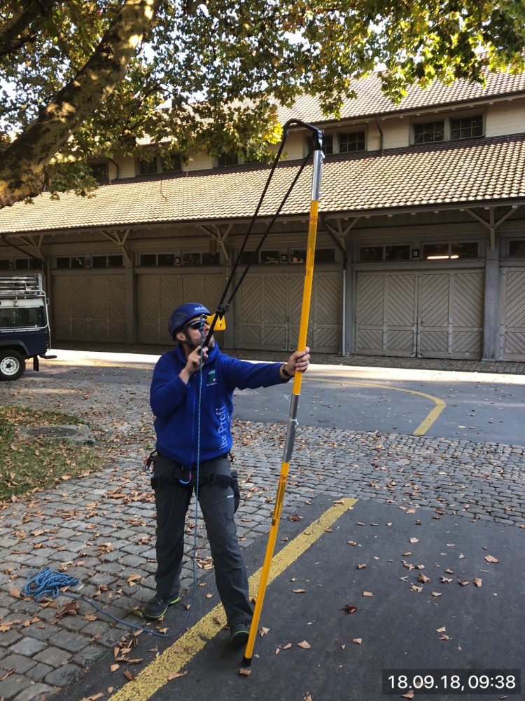 Impressionen aus der TECTON-Foto-Cloud 2018-10