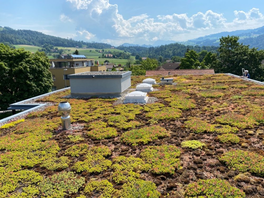 Impressionen aus der TECTON-Foto-Cloud 2020-07