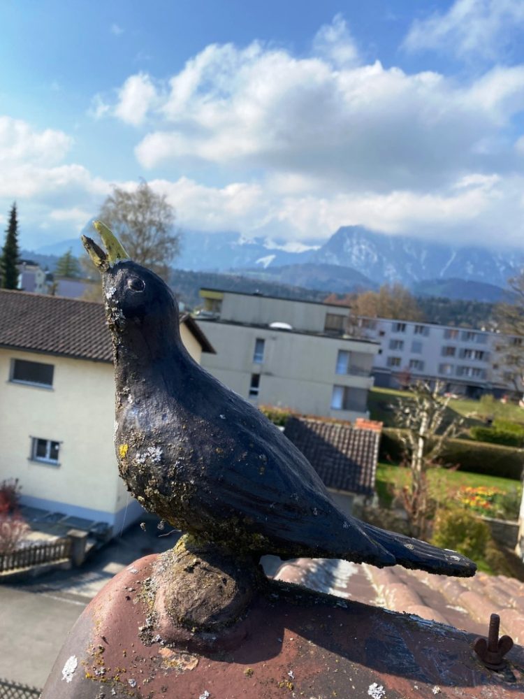 Impressionen aus der TECTON-Foto-Cloud 2021-05