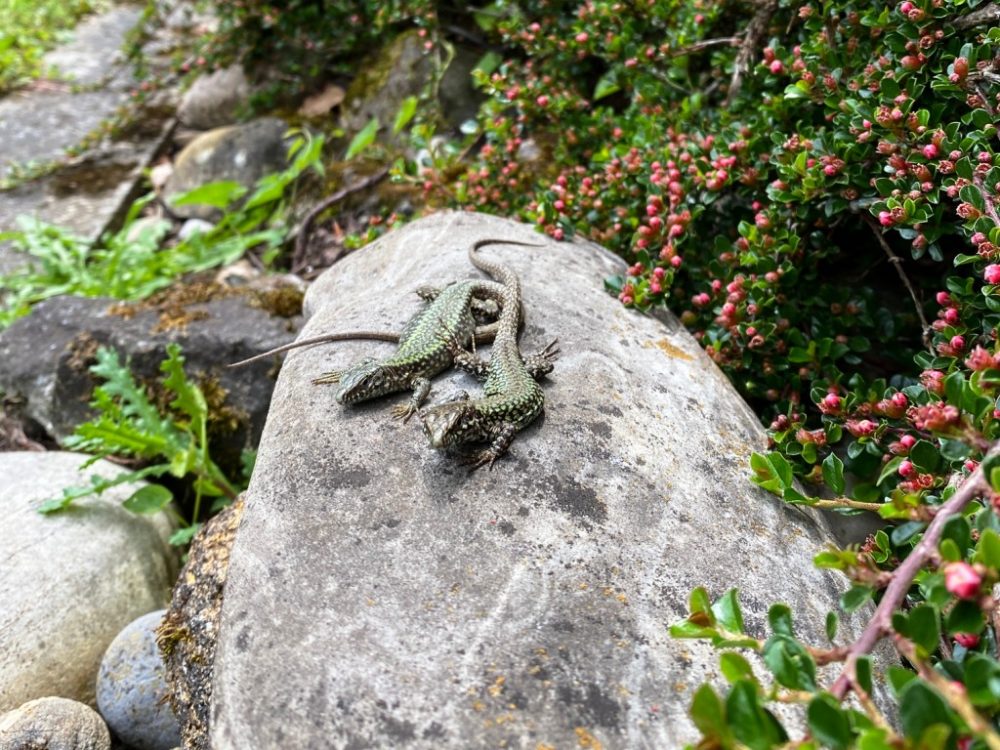 Impressionen aus der TECTON-Foto-Cloud 2021-07