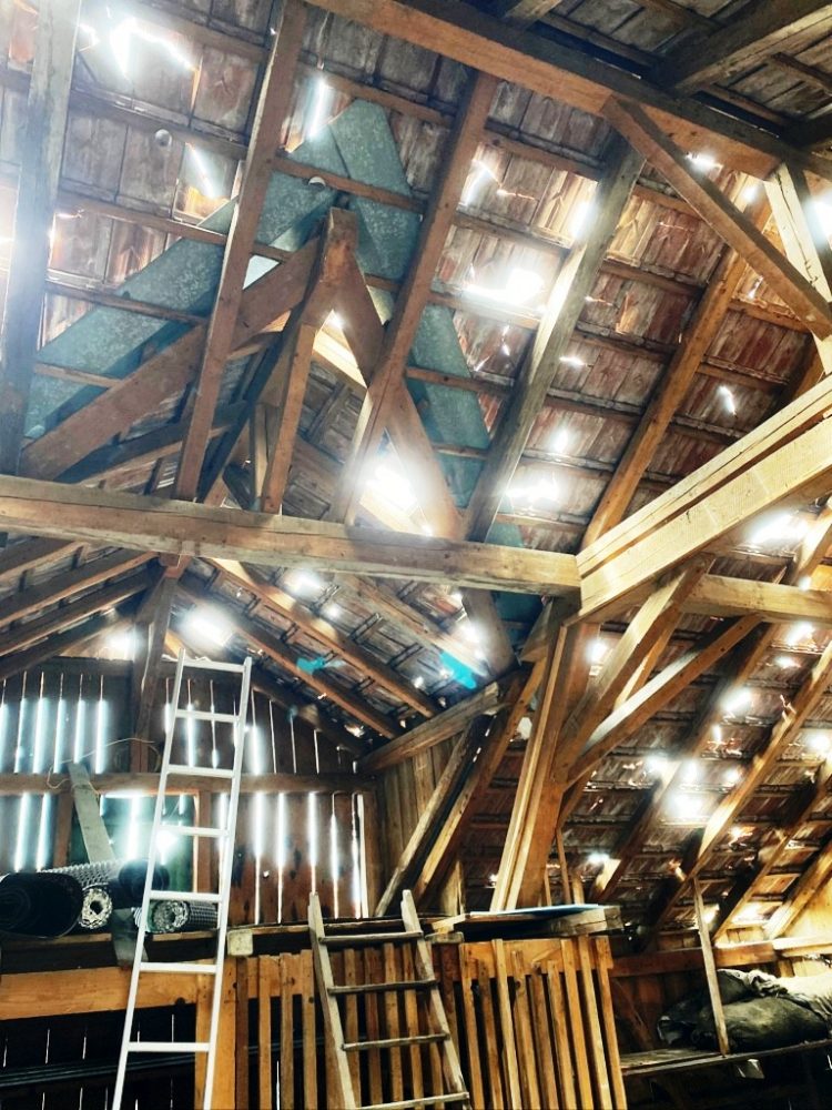 Impressionen aus der TECTON-Foto-Cloud 2021-08