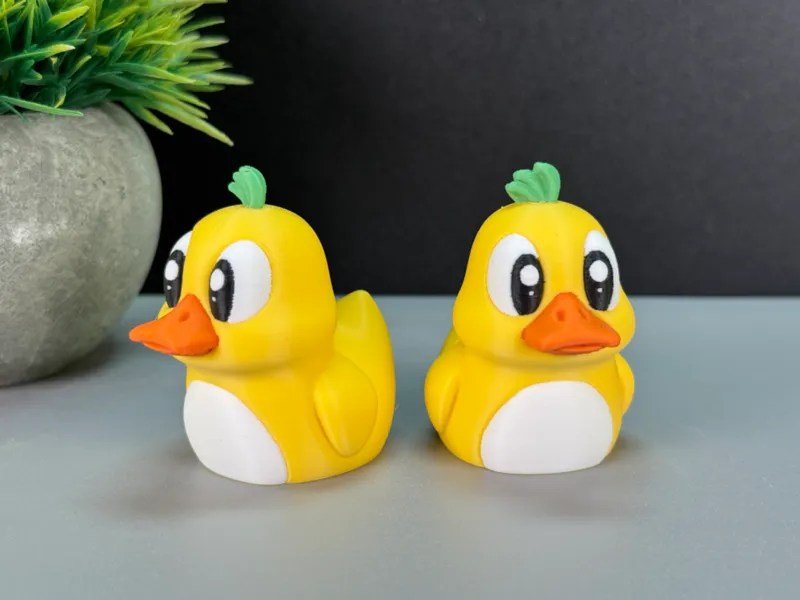 Cute Duck