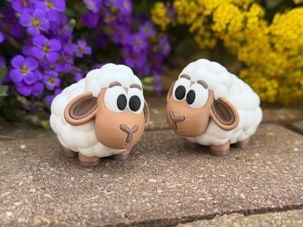 Cute Sheep 3