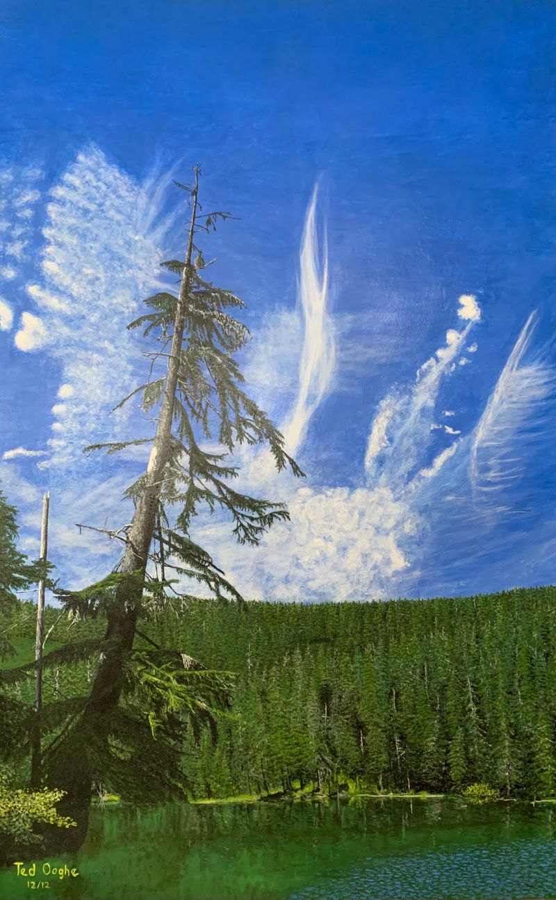 Tree Wizard - Premium Abstract Background - Full HD