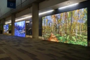 LED lightbox display setup guide