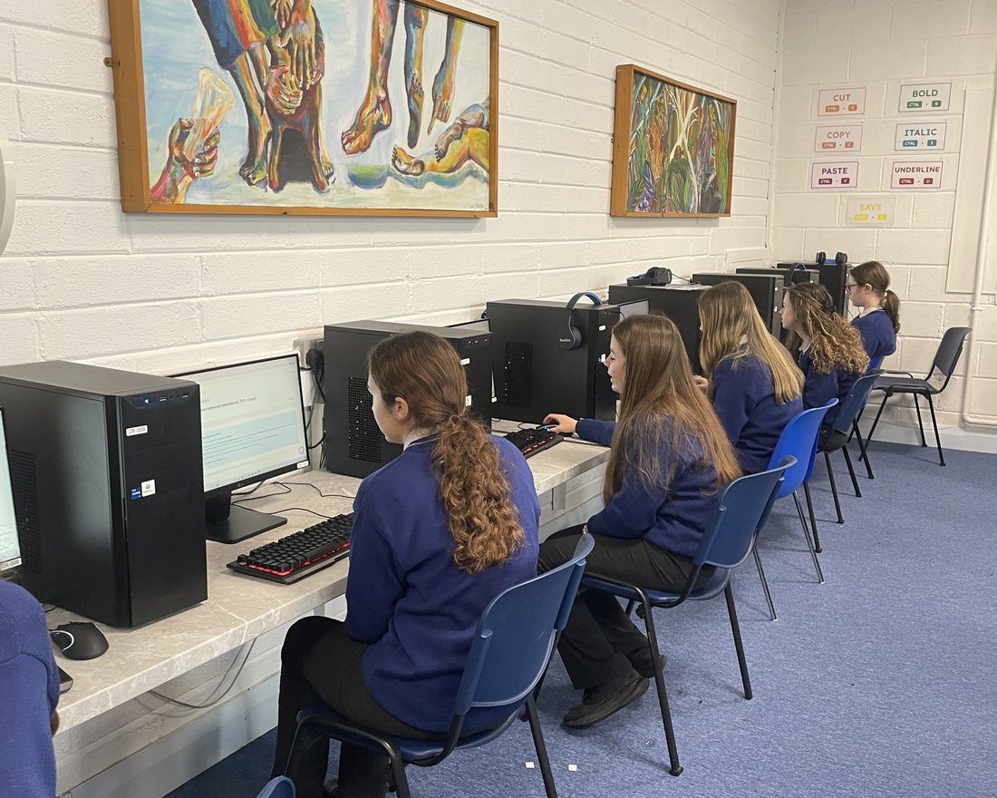 Transition Year students working through the online TEFL modules at desktop computers in their school computer room
