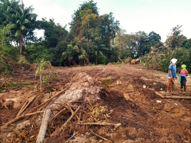 Povo Tremembé de Engenho denuncia invasão de seu território no Maranhão
