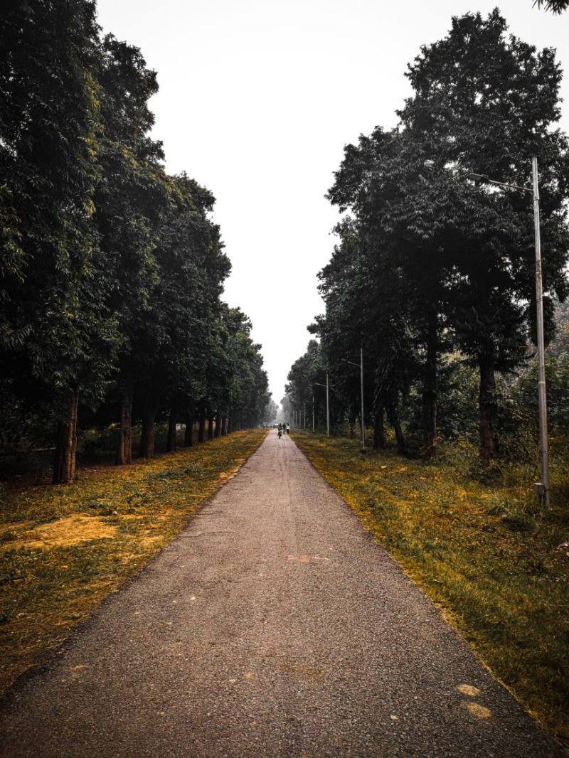 Github Tejasmishr Mmmutreso Opensource Https Tejasmishr Github Io - Abstract Wallpapers - Professional 4K Collection