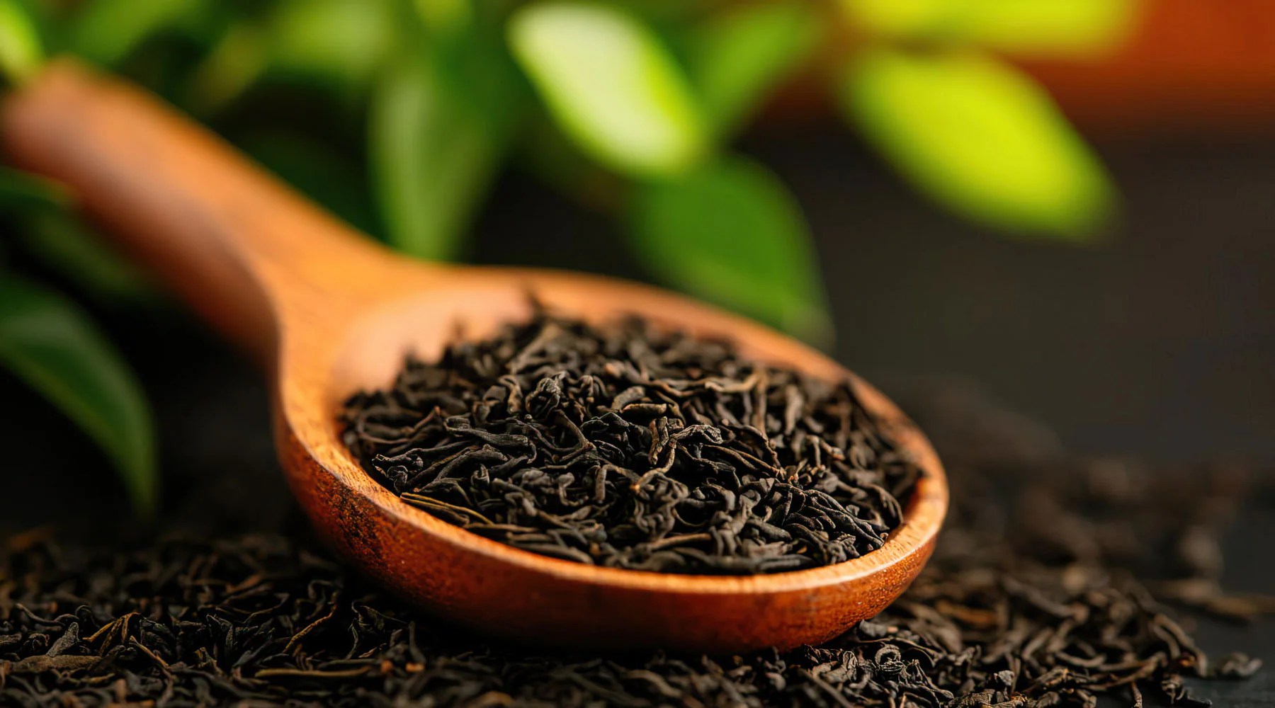 Explore Tejava - Best Colorful Illustrations in High Resolution