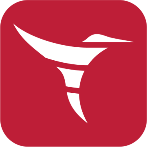 Networking Services Solutions Telecomp - Classic Sunset Design - High Resolution