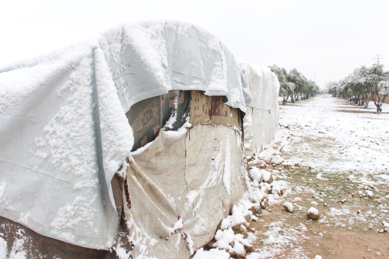 Musim Dingin Melalui Program “Winter Relief 2021” Adara Peluk Palestina