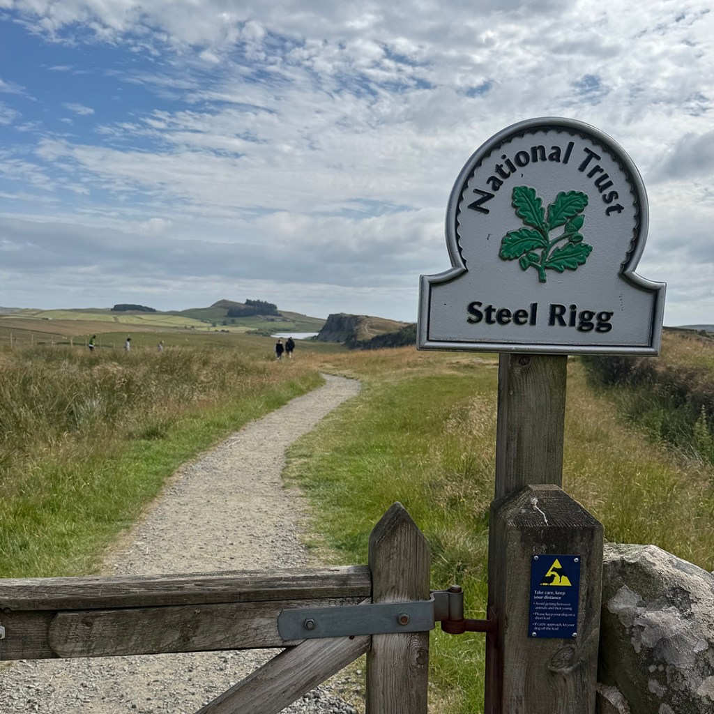 Steel Rigg