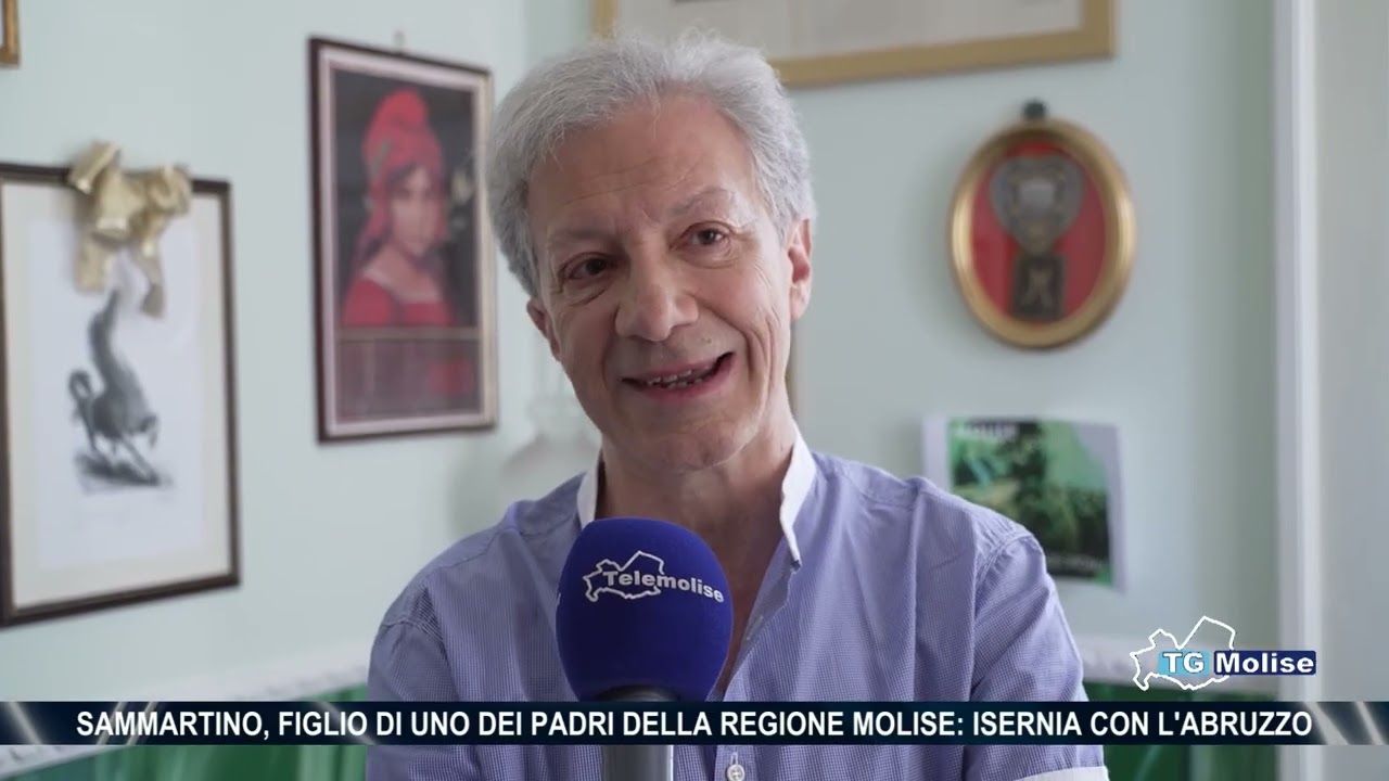 TG Molise delle ore 14:00 del 11/08/2026
