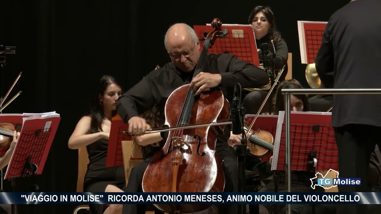 Viaggio in Molise ricorda Antonio Meneses, animo nobile del violoncello