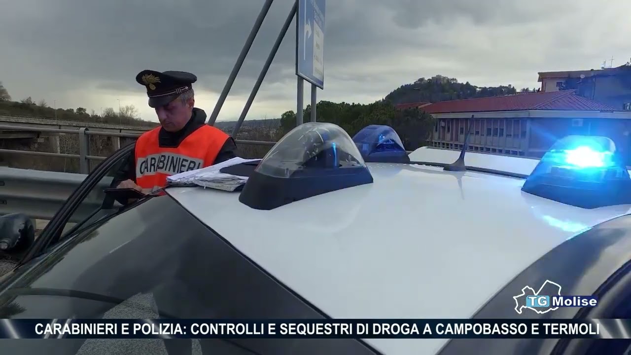 Carabinieri e Polizia: controlli e sequestri di droga a Campobasso e Termoli