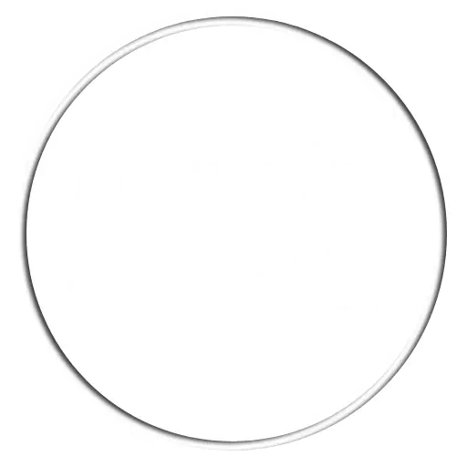 Domain Expertise