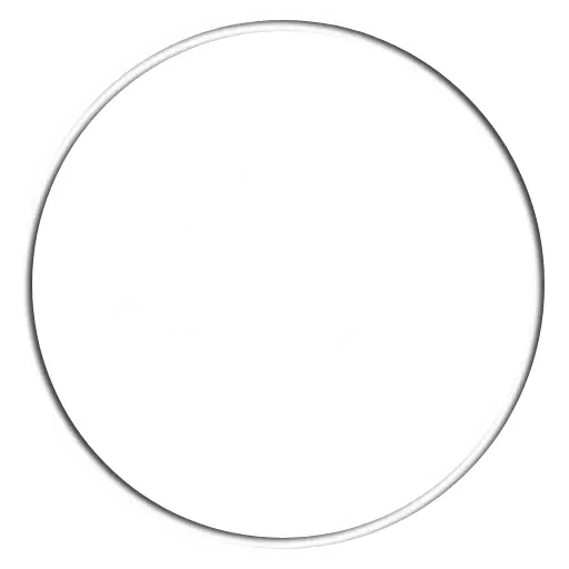 Feature Icon 2