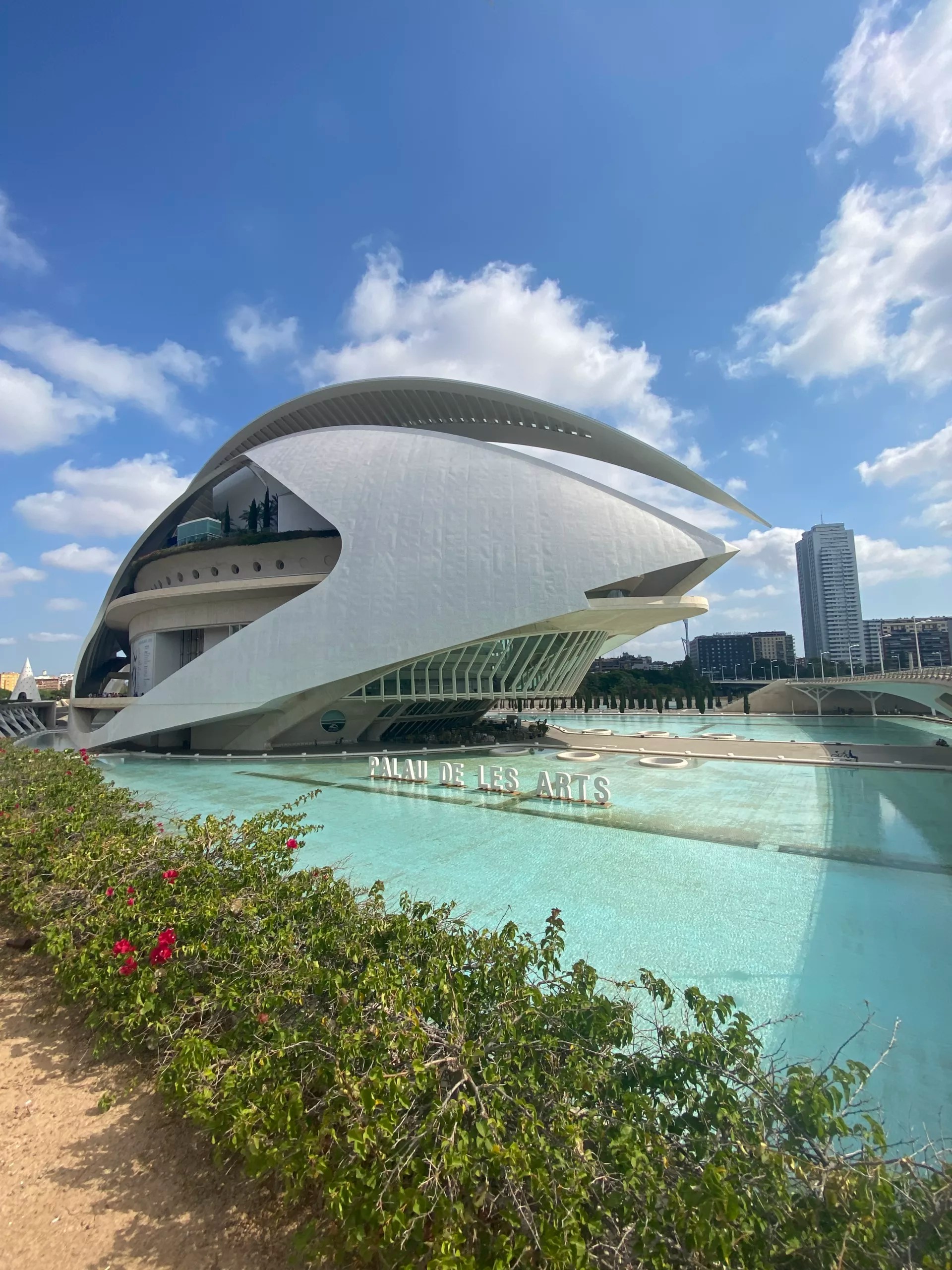 Cité des arts & des sciences