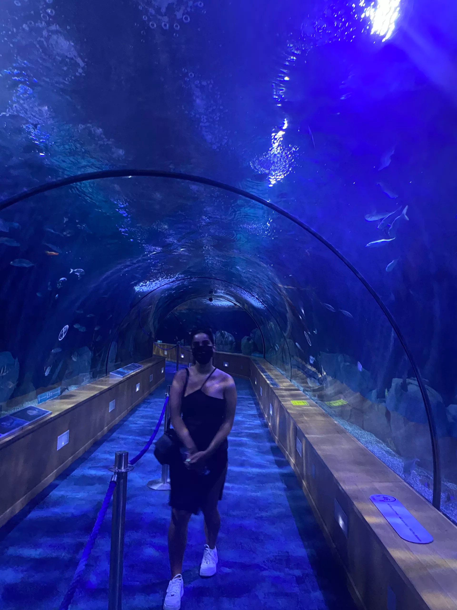 a girl in an aquarium - Oceanografico, Valencia, Spain