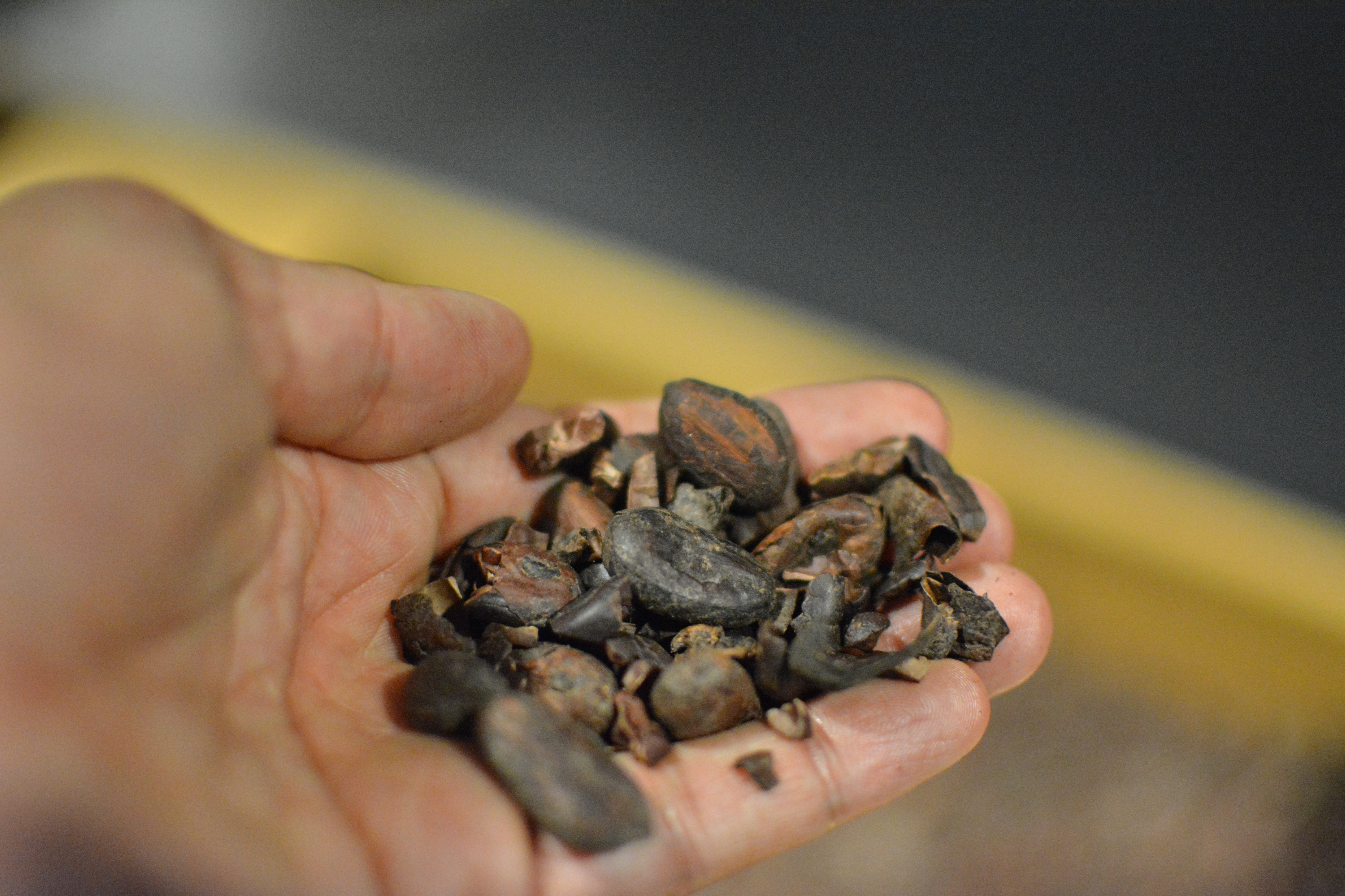 Cacao from the Cote D'Ivoire.