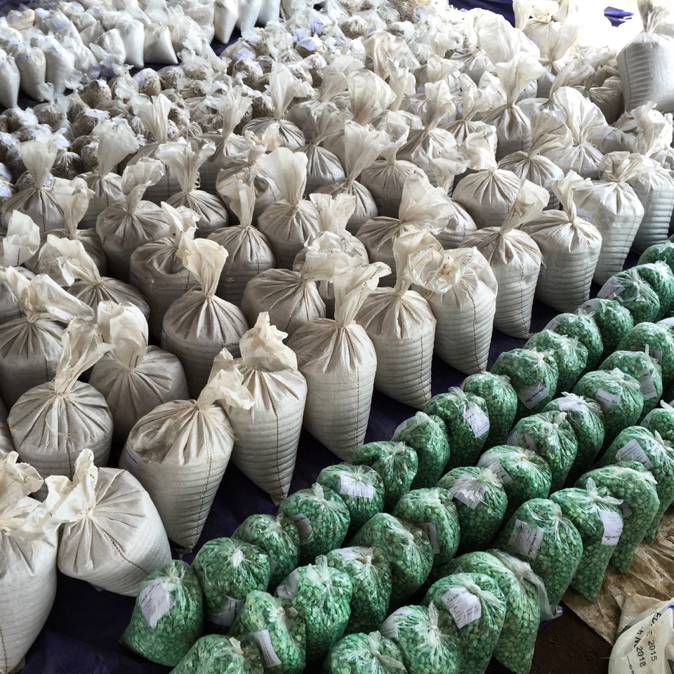 Semillas y fertilizantes