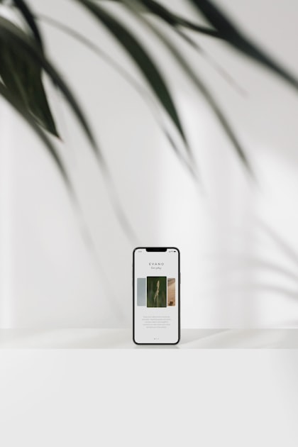User Experience Design Principles