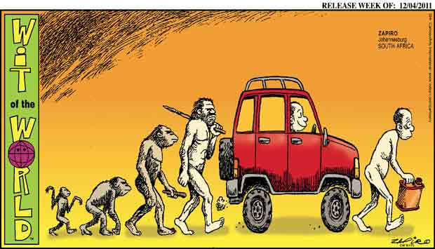 Human evolution