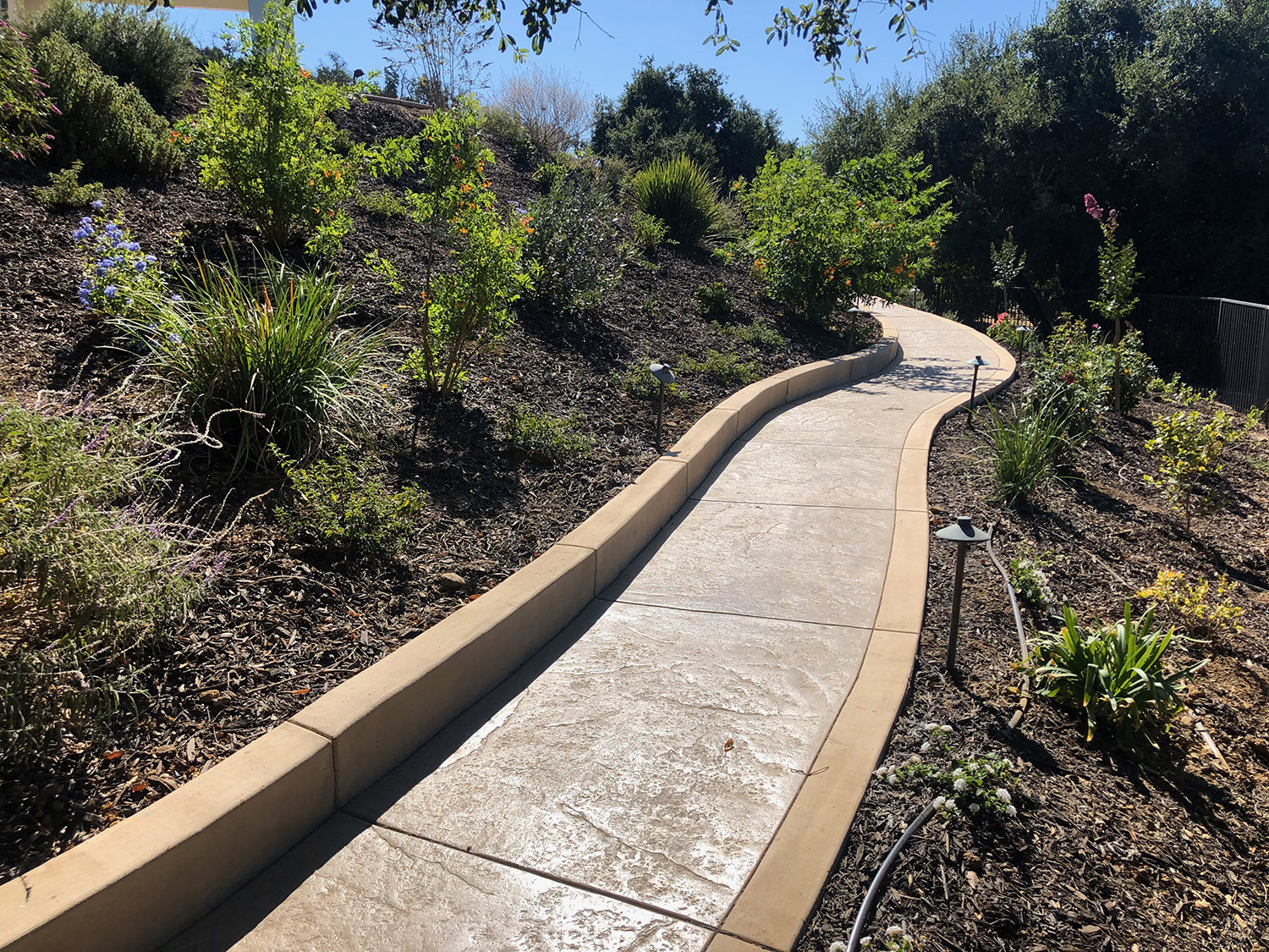 Shot of curbed concrete path.