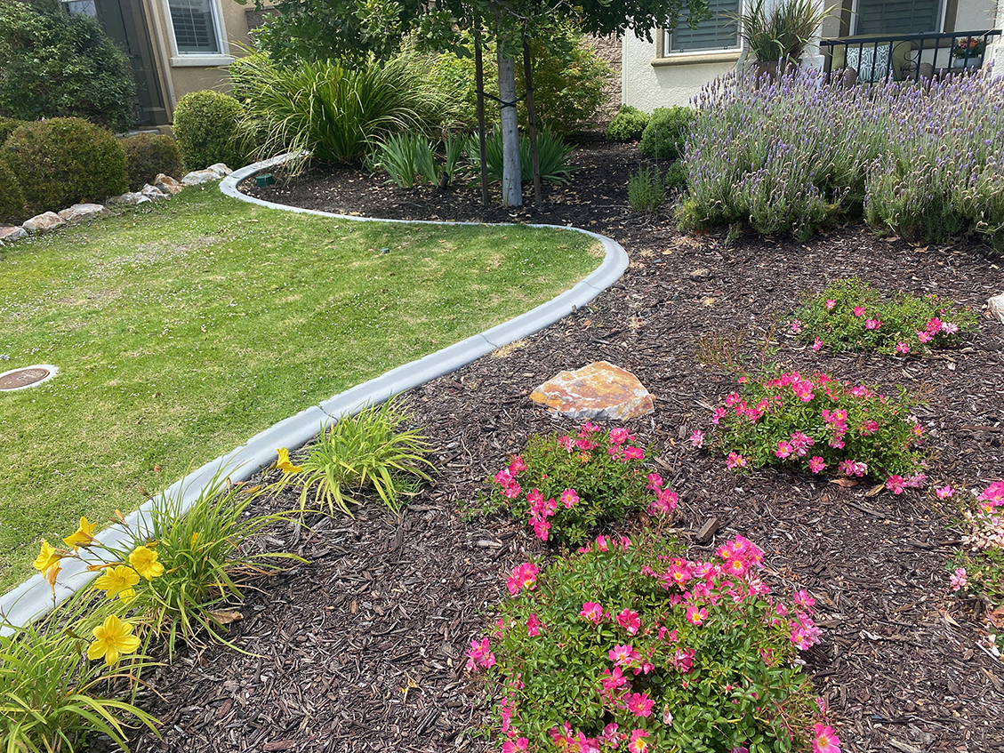 Shot of grass area and mulch plants.