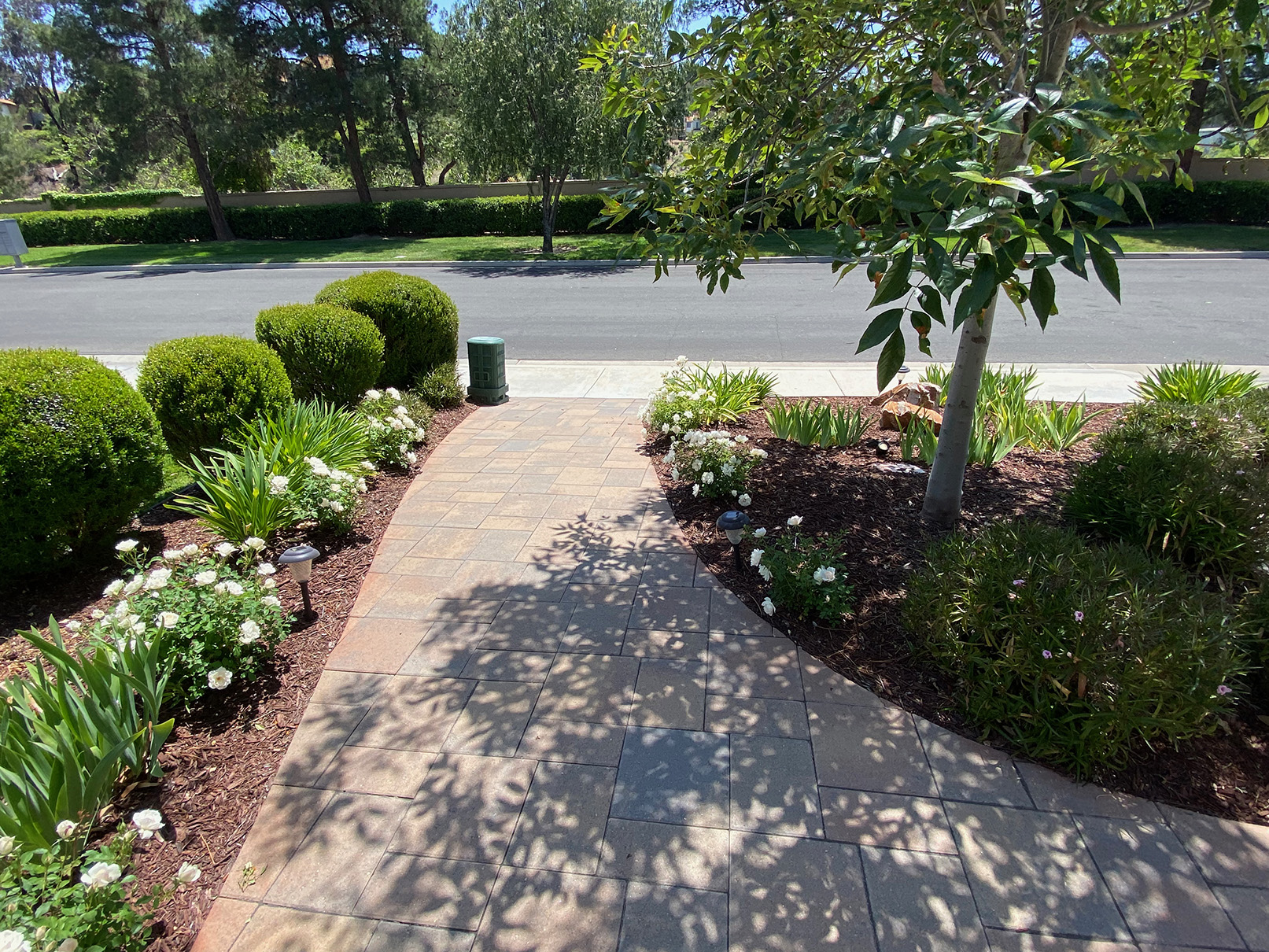 Shot of path of interlocking pavers.
