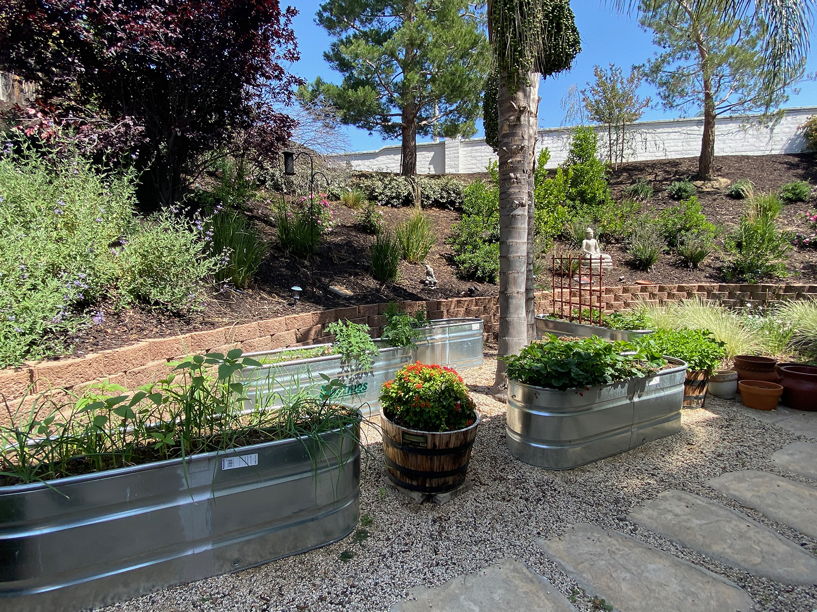Shot of several planters in jellybean rock.