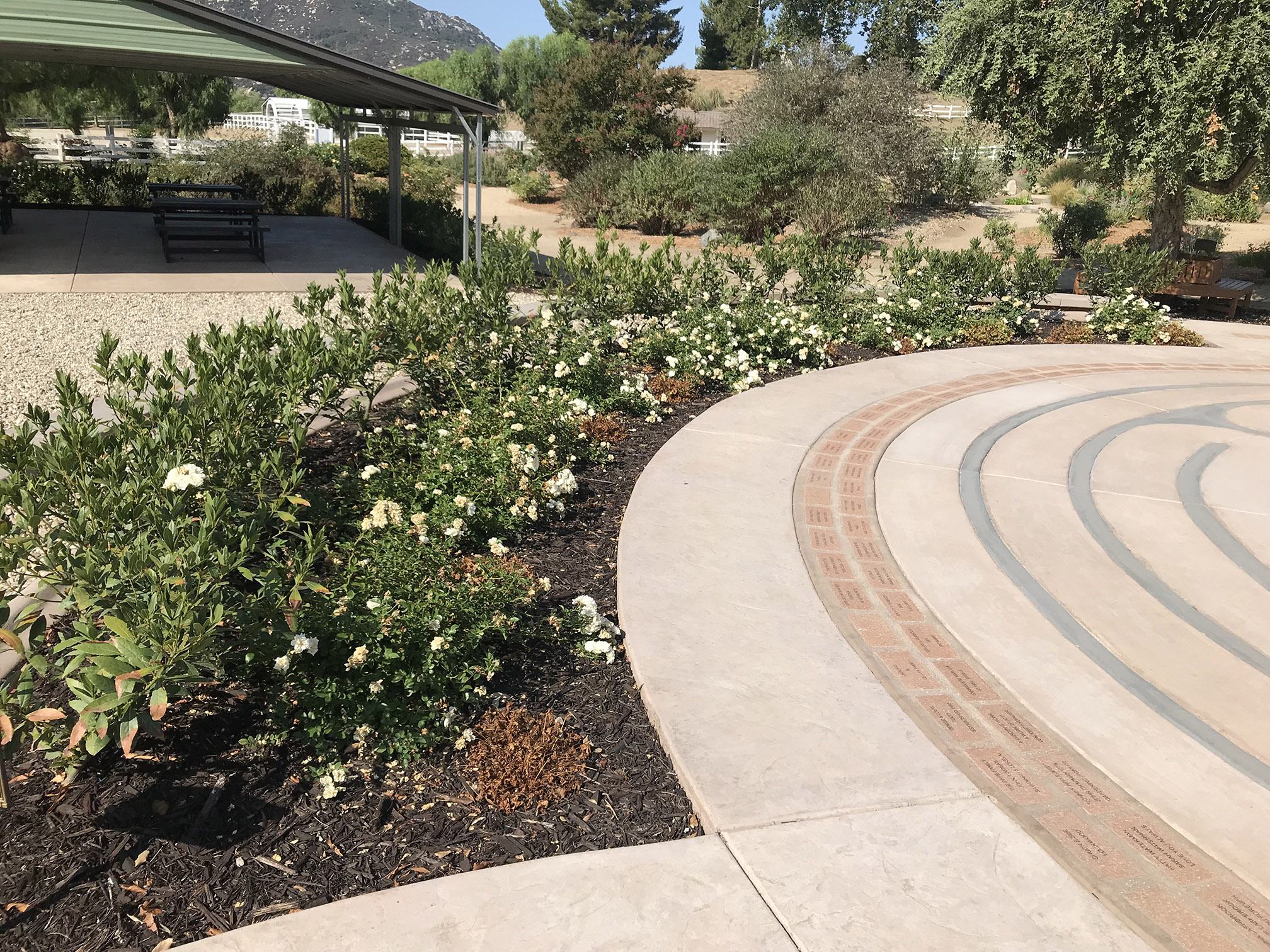 Shot of circular mulch planter with green plants and concrete circle layers.