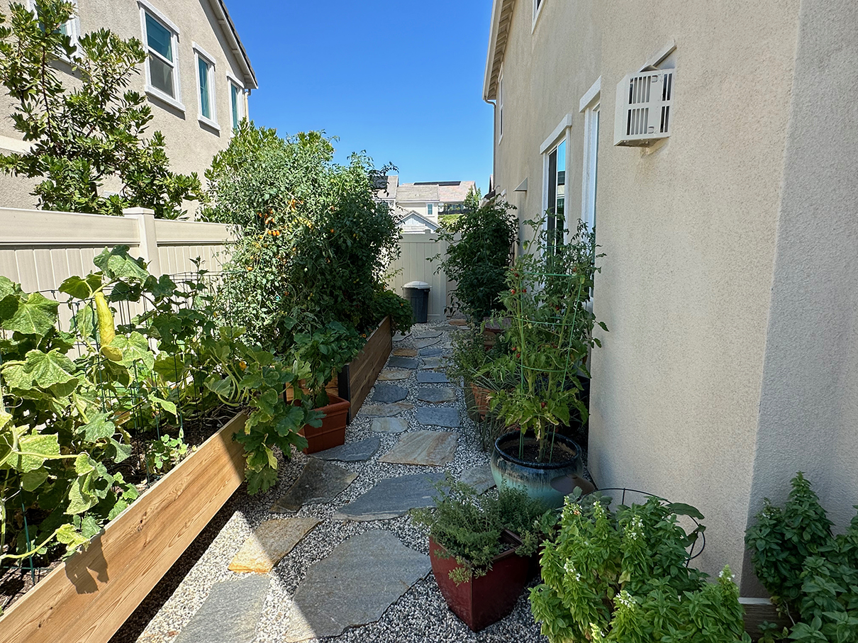 Shot of side yard garden and flagstone paver path.