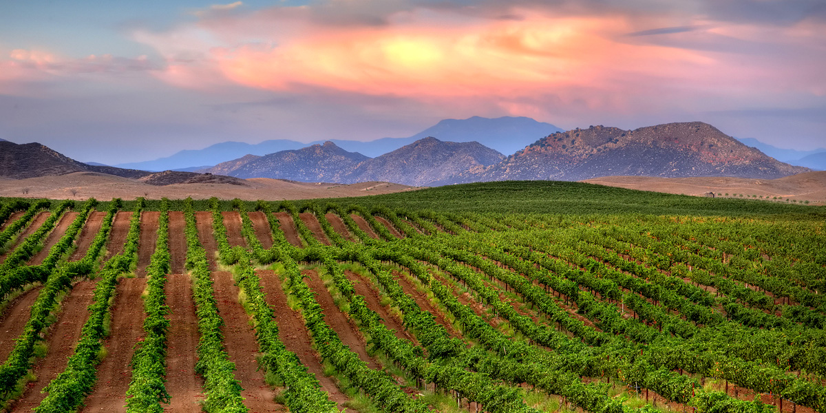 Temecula, Fallbrook, Murrieta, Wildomar, Lake Elsinore, Menifee & Hemet
