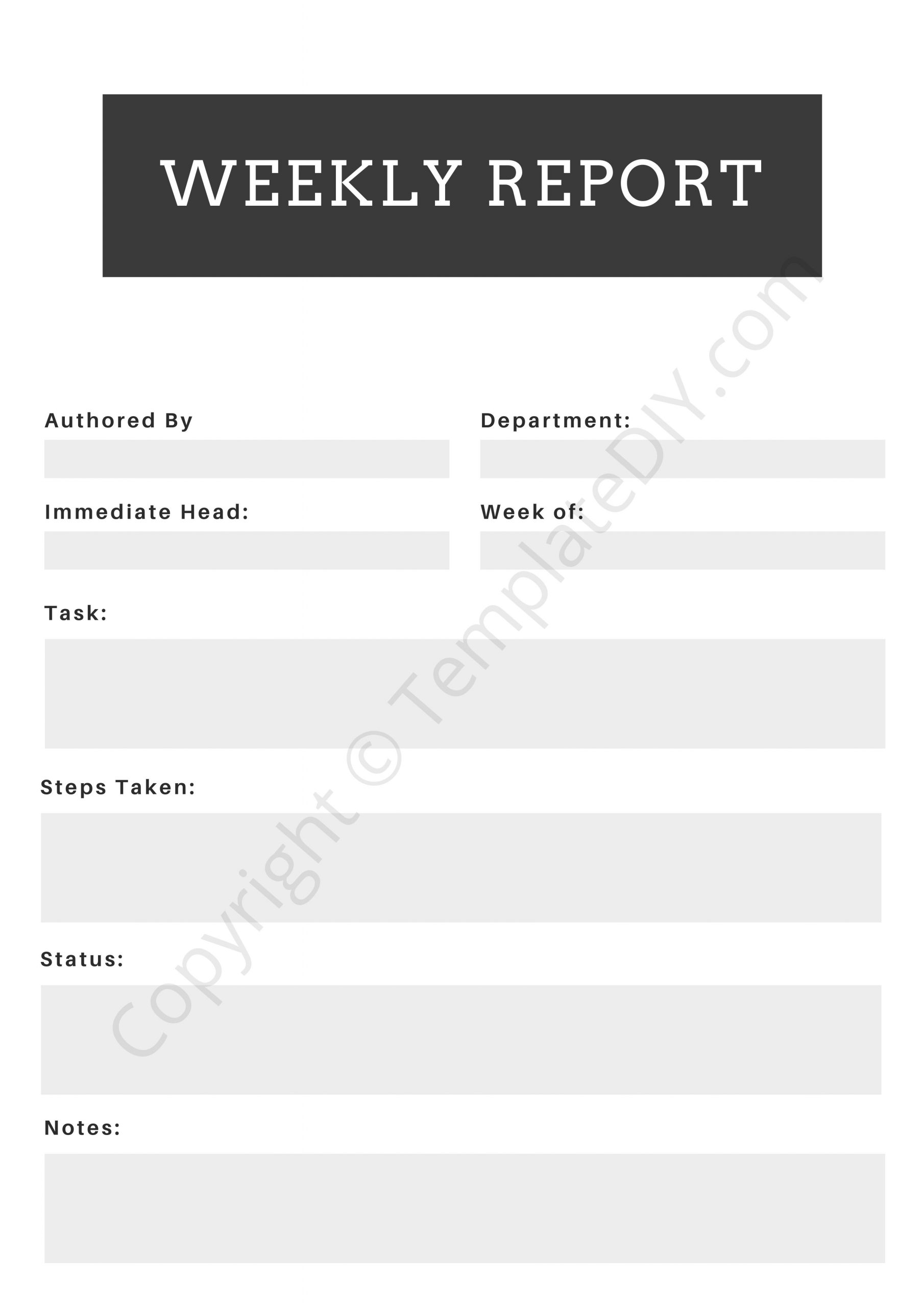 Weekly Report Template Blank Printable PDF, Word, Excel
