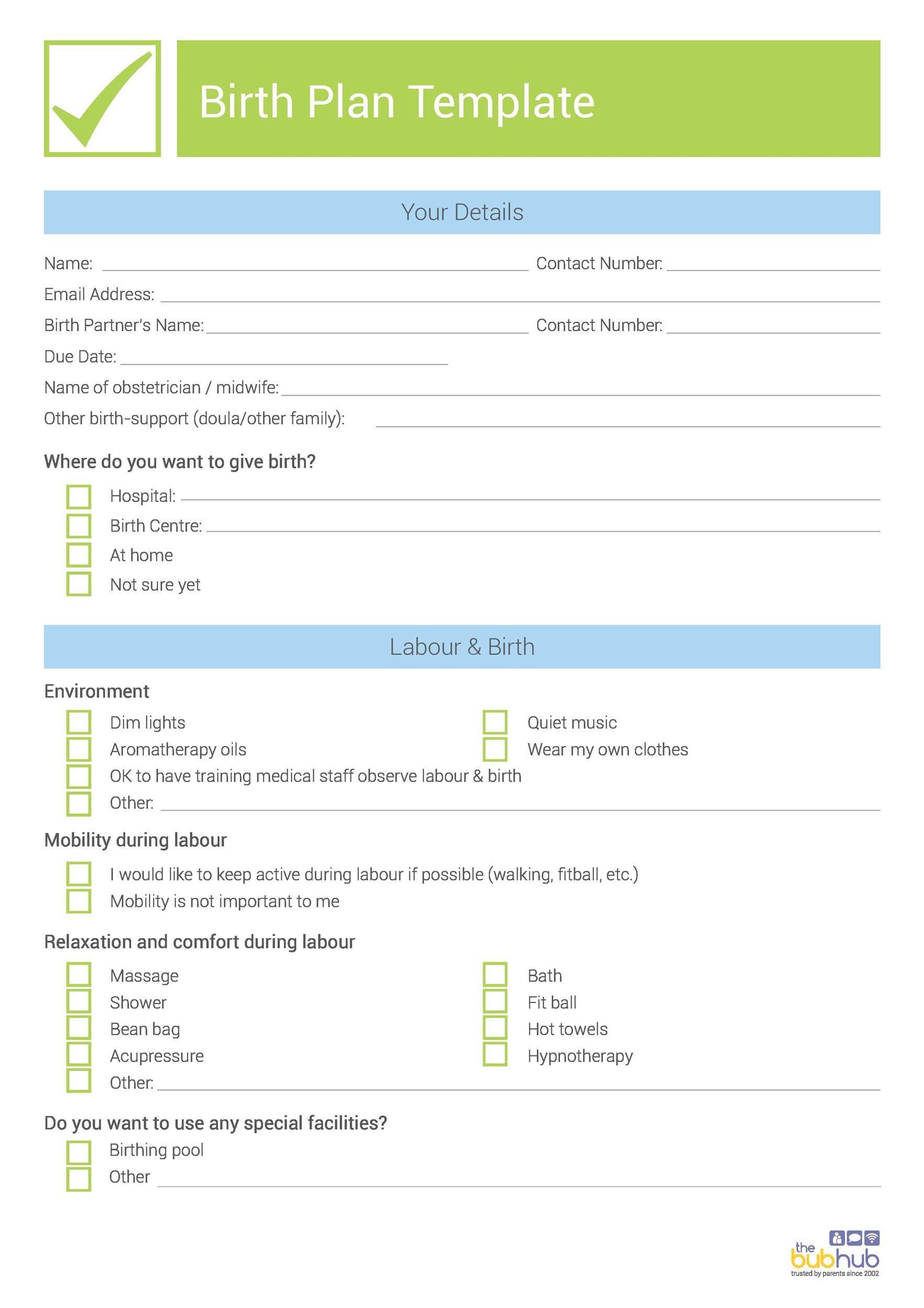 47+ printable birth plan templates [birth plan checklist] ᐅ templatelab