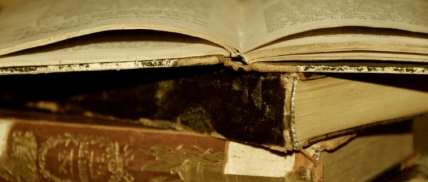 dictionary Small 620×264