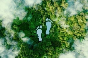 Environmental Impact and Sustainability