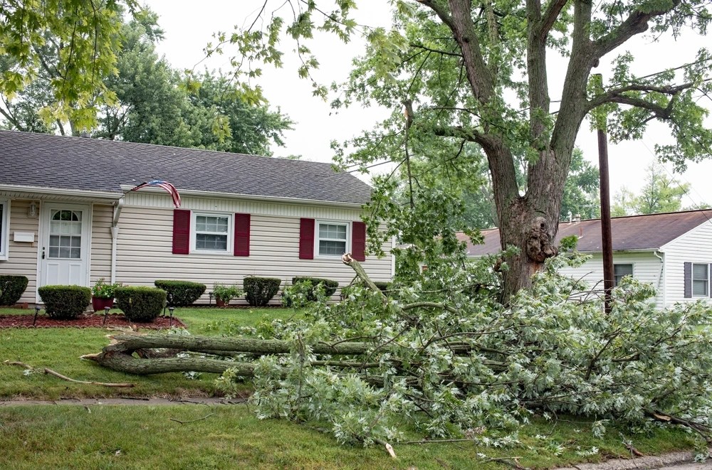 Storm Aftercare: From Fallen Limbs to Flood-Damaged Debris—A Weekend Plan